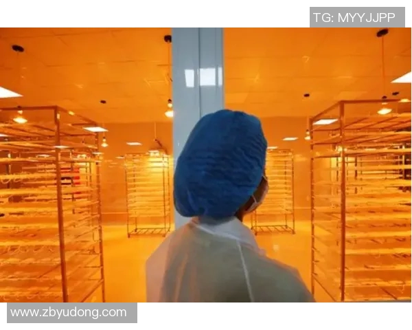 2023年度全球十大体育明星排行榜揭晓谁将成为最受欢迎的运动偶像