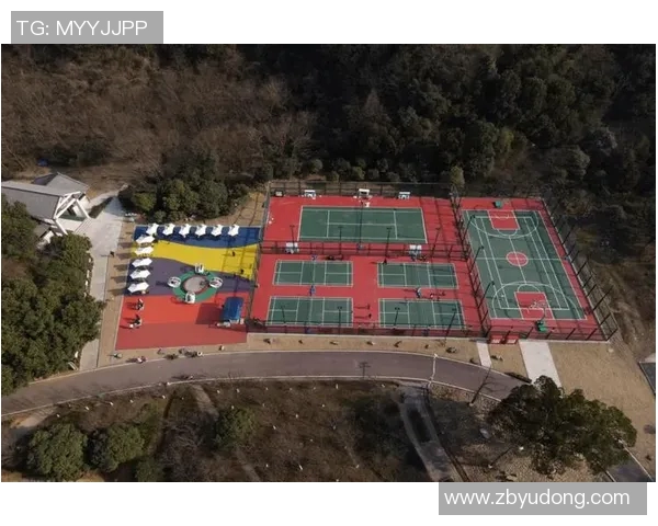 体育俱乐部审批流程优化与管理机制探讨促进体育产业健康发展