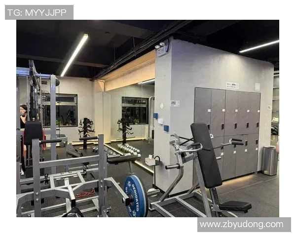 全面解析多功能健身器材的种类与选择指南助你打造完美家庭健身房