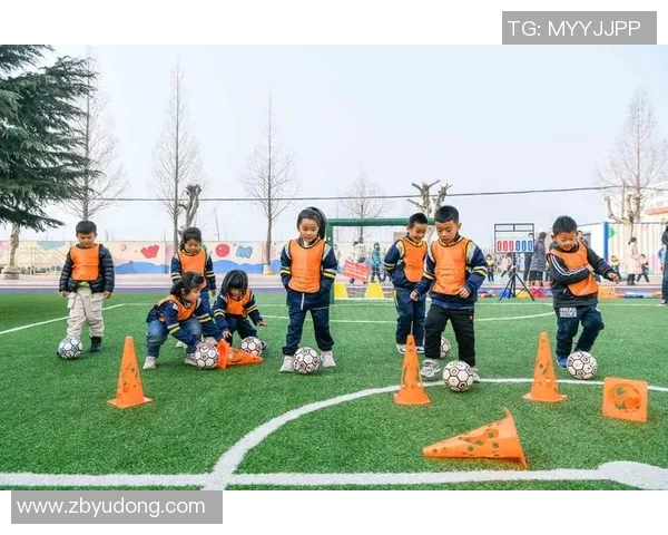 幼儿户外体育器材的选择与使用指南助力孩子健康成长与快乐玩耍